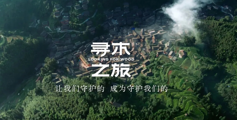 大王椰寻木之旅IP-《与木共生》荣获第25届IAI传鉴国际广告·整合营销铜奖